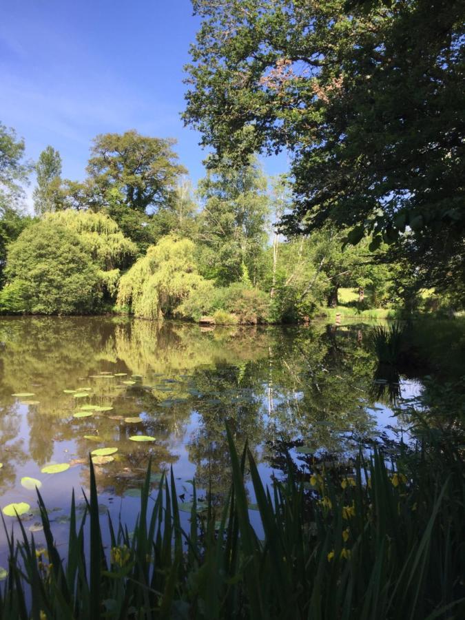 Le Gite Du Petit Renard: A Tranquil Gite With Pool Oradour-Saint-Genest Exterior foto